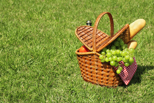 Basket with food on lawn in park. Summer picnic