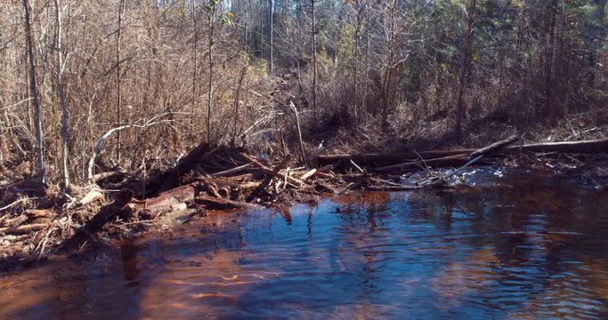 Aerial, pond in forest