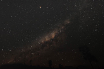 Beautiful view of milky way and silhouette trees on the way to Kawah Ijen in Java, Indonesia.