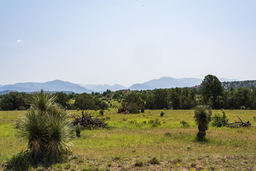Fototapeta na wymiar A hazy view of a distant New Mexico mountain range.