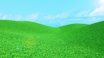 Fototapeta na wymiar Landscape Green grass field and blue sky with clouds