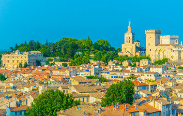 Cityscape of Avignon with Palais des Papes and Cathedral of Our Lady, France