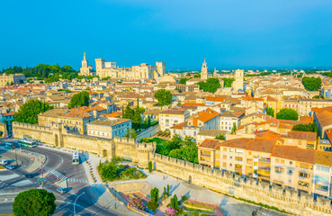 Cityscape of Avignon with Palais des Papes and Cathedral of Our Lady, France