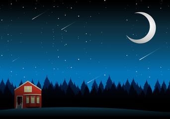 A rural house landscape at night