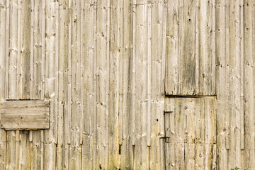 Weathered distressed rustic barn board, wood, as textured background.