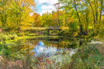 Fototapeta premium A picturesque autumn forest reflection landscape. Forest, pond, & foot bridge on a beautiful autumn day, full fall colors.
