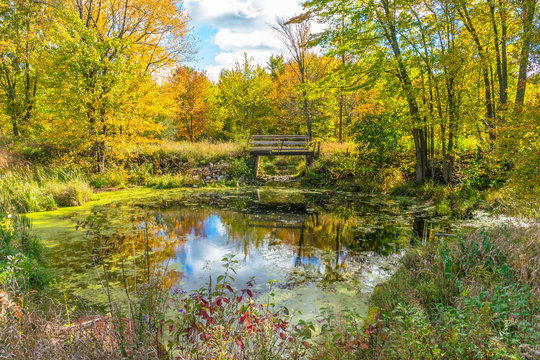 A picturesque autumn forest reflection landscape. Forest, pond, & foot bridge on a beautiful autumn day, full fall colors.