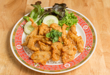 Fried chicken place on top the rice with cucumbers and sauce.