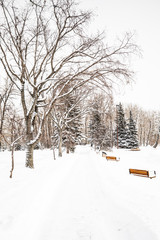 Bowness Park in Winter