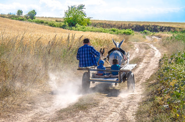 A cart with a donkey and people in it