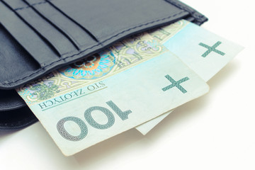 Polish currency money in wallet, white background, finance concept