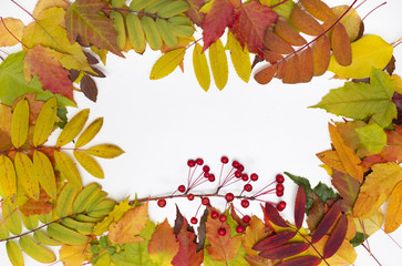 Naklejka na ściany i meble Autumn foliage on white background. Colorful leaves frame.