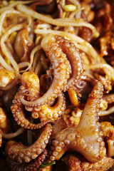 Korean spicy stir fried octopus 