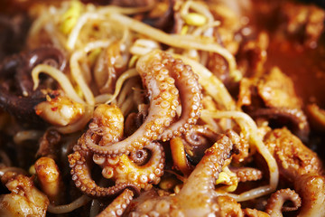 Korean spicy stir fried octopus 