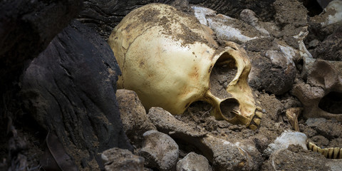 Model skull of human and bones form pit with dark light.Copy space.Concept halloween day.