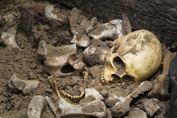 Model skull of human and bones form pit with dark light.Copy space.Concept halloween day.
