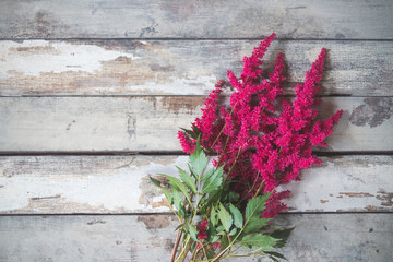 Beautiful astilbe flowers on aged wooden background