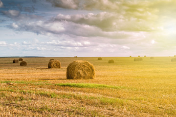 Twisted haystack on agriculture field landscape