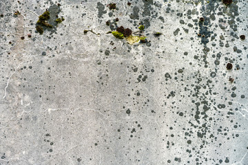 white wet wall texture old dirty scratched plaster as grunge background