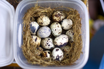 
QUAIL EGGS IN TAPER