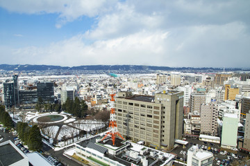 Fototapeta na wymiar 富山市役所展望塔からの風景（西方向）