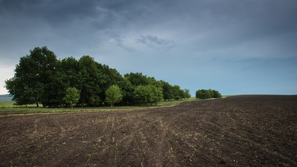 поля, село, природа, пашня