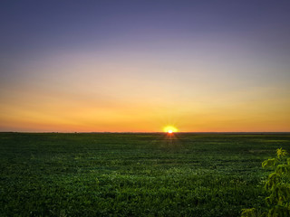 Beautiful summer sunset sky in orange blue tones over countryside green field