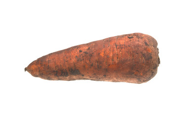 carrots isolated on white background