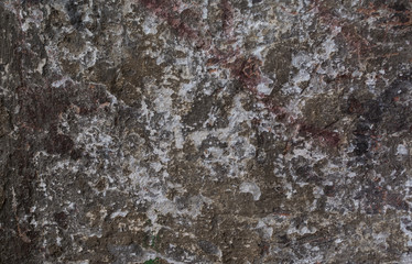 Old wall with stucco. Textured surface, Space for text.