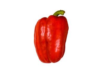 Red bulgarian pepper isolated on a white background