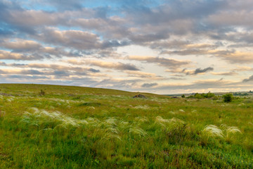 Obraz premium The steppe landscape with colorful sky and feather grasses. South of Russia, Rostov-on-Don region