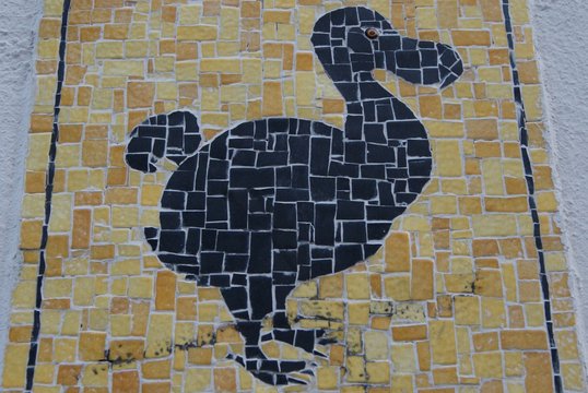 mozaique