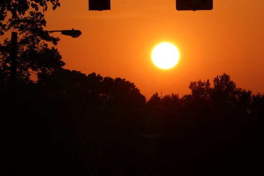 Sunset and Trees