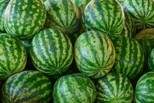 natural vegetative texture of green striped watermelons in a heap
