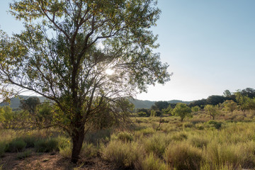 The road to Santiago and the via augusta in Castellon