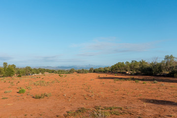 Naklejka premium The road to Santiago and the via augusta in Castellon