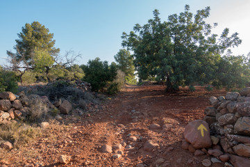 The road to Santiago and the via augusta in Castellon