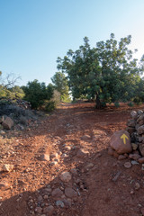 The road to Santiago and the via augusta in Castellon