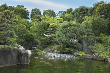 Fototapeta na wymiar Central pond of Mejiro Garden where ducks are resting and which is surrounded by large rocks and stone pagoda under the foliage of the Japanese pines trees and a variety of Momiji maple trees.