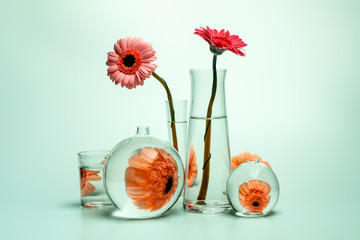 Still life with glass vases of various shapes and gerbera daisy flowers