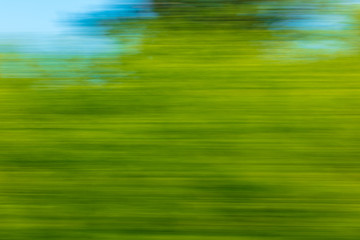 Nature in motion from the train window