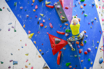 Photo from back of sports girl climbing blue wall into gym