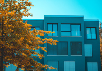 modern apartment building with blue facade and orange tree - complentary contrast