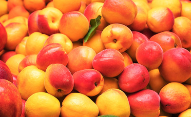 Lot of ripe nectarines in the supermarket.