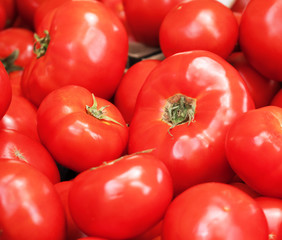 Lots of red tomatoes in supermarket.