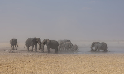 Dust Storm