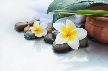 Obraz na płótnie Canvas Spa flowers and stones for massage treatment on white background.