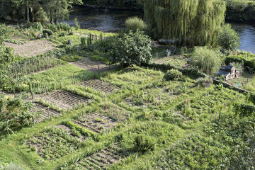 jardin potager près d'une rivière