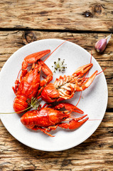 Crawfish on wooden background