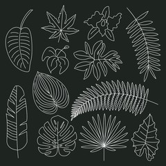 Tropical leaves, floral tropical elements, outline icons.